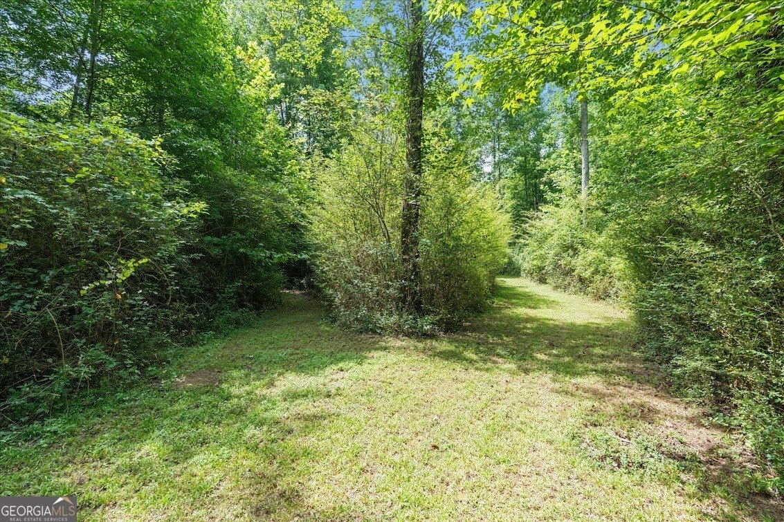 590 Highway 5 Roopville - Photo 46