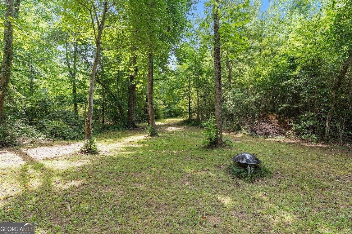 590 Highway 5 Roopville - Photo 49