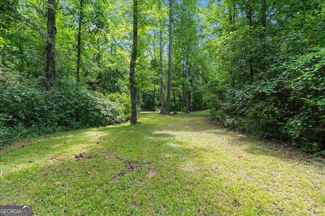 590 Highway 5 Roopville - Photo 51