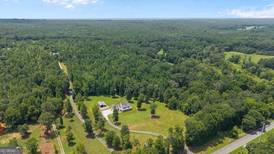590 Highway 5 Roopville - Photo 53