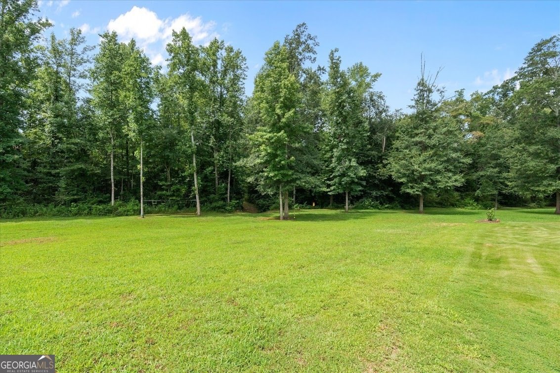 590 Highway 5 Roopville - Photo 56