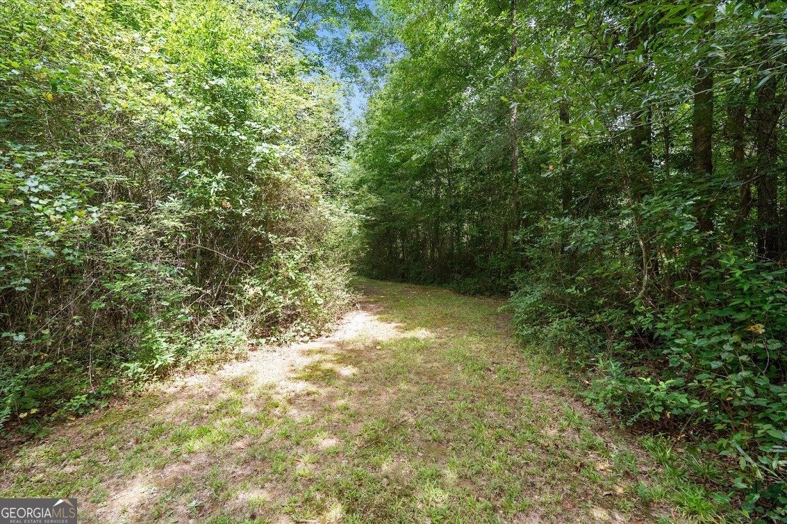 590 Highway 5 Roopville - Photo 57