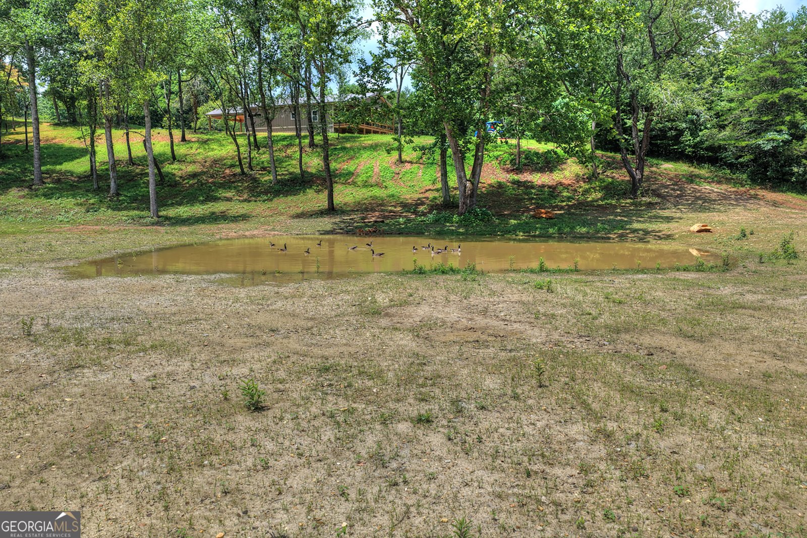 2125 Shady Grove Murphy - Photo 44