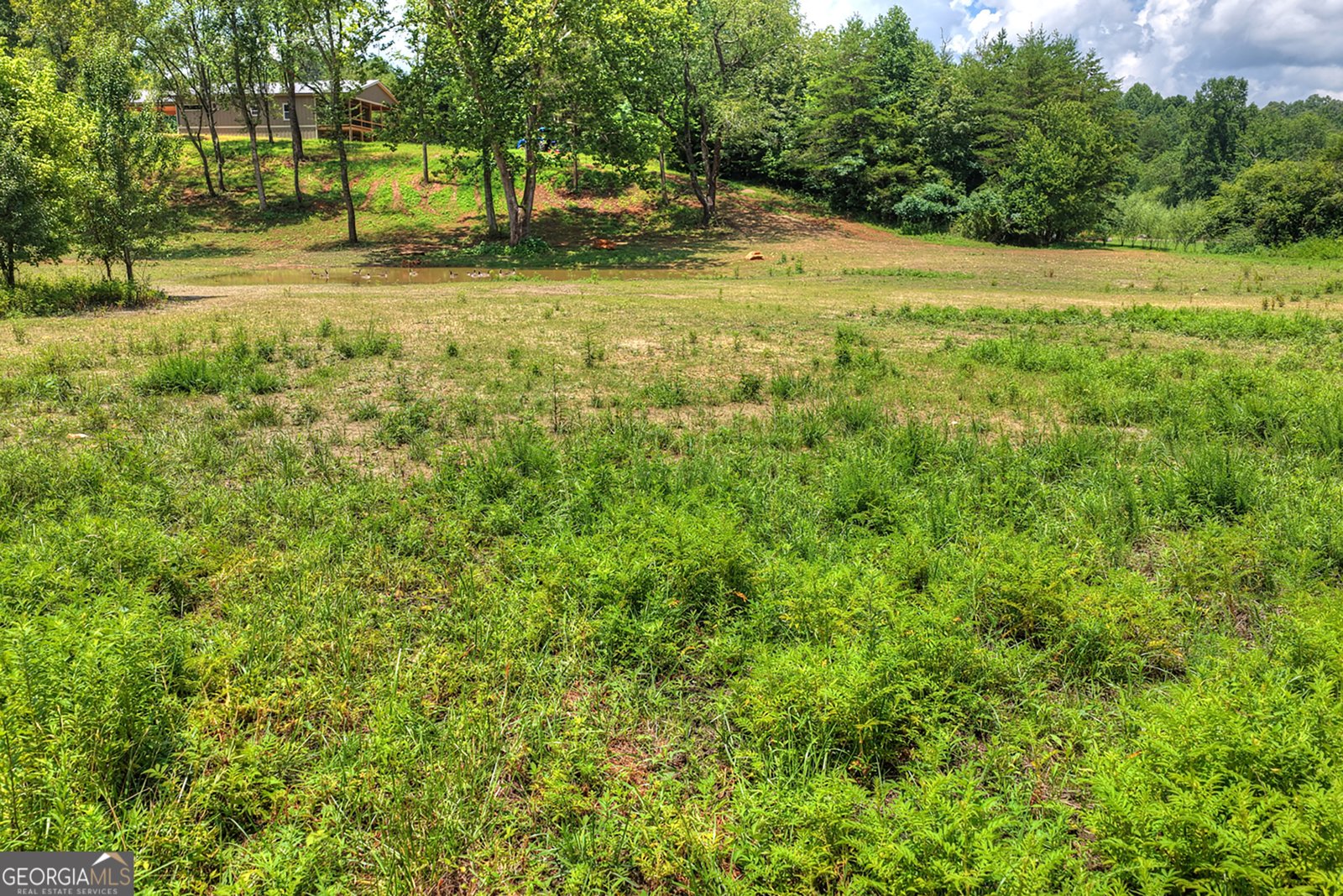 2125 Shady Grove Murphy - Photo 45