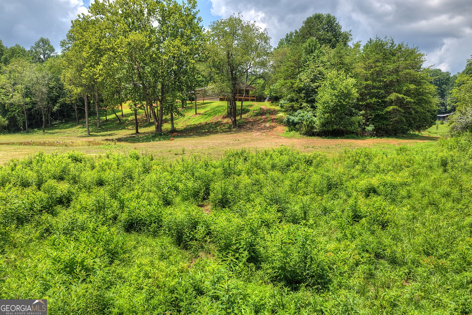 2125 Shady Grove Murphy - Photo 49