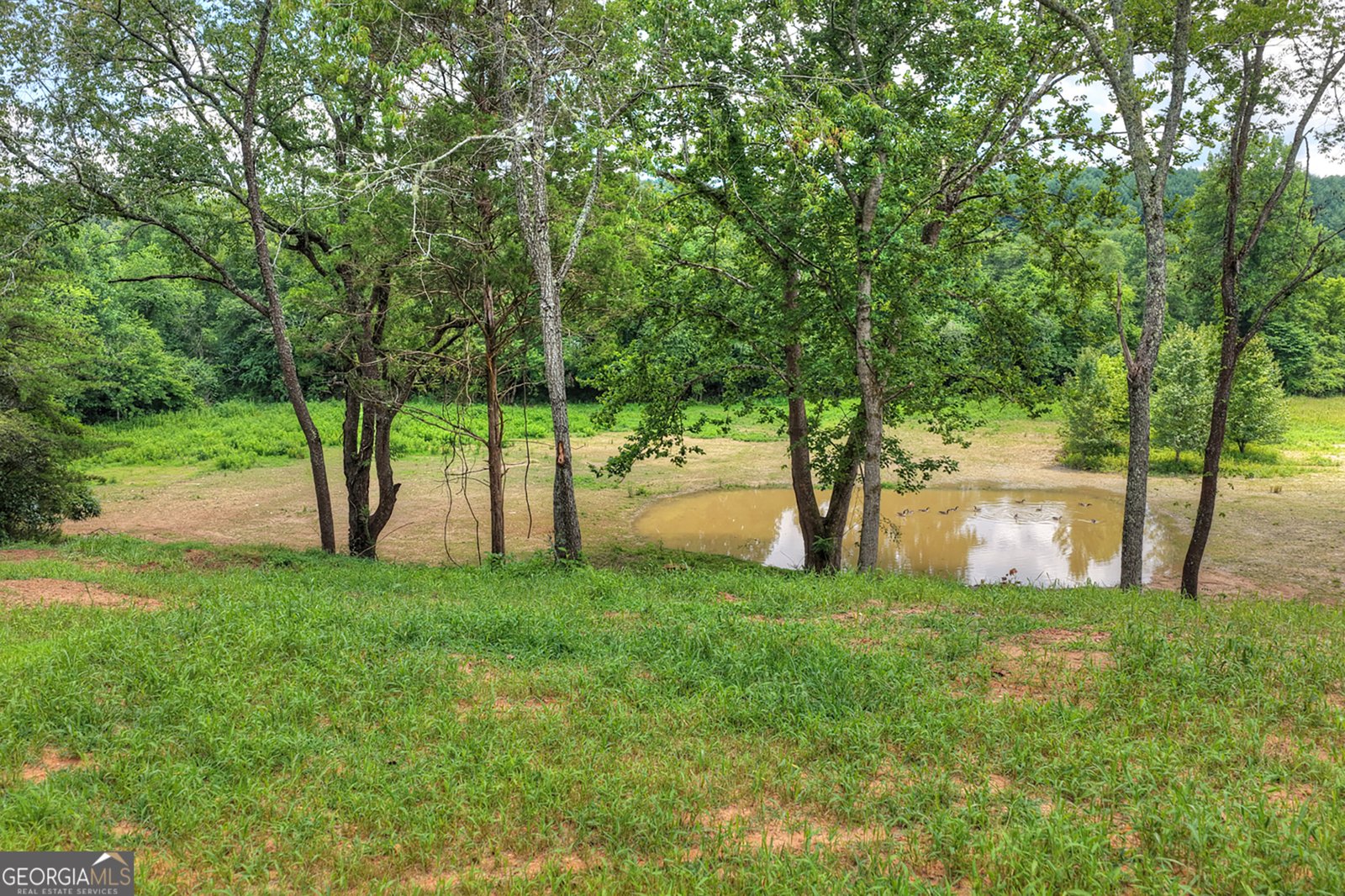 2125 Shady Grove Murphy - Photo 51