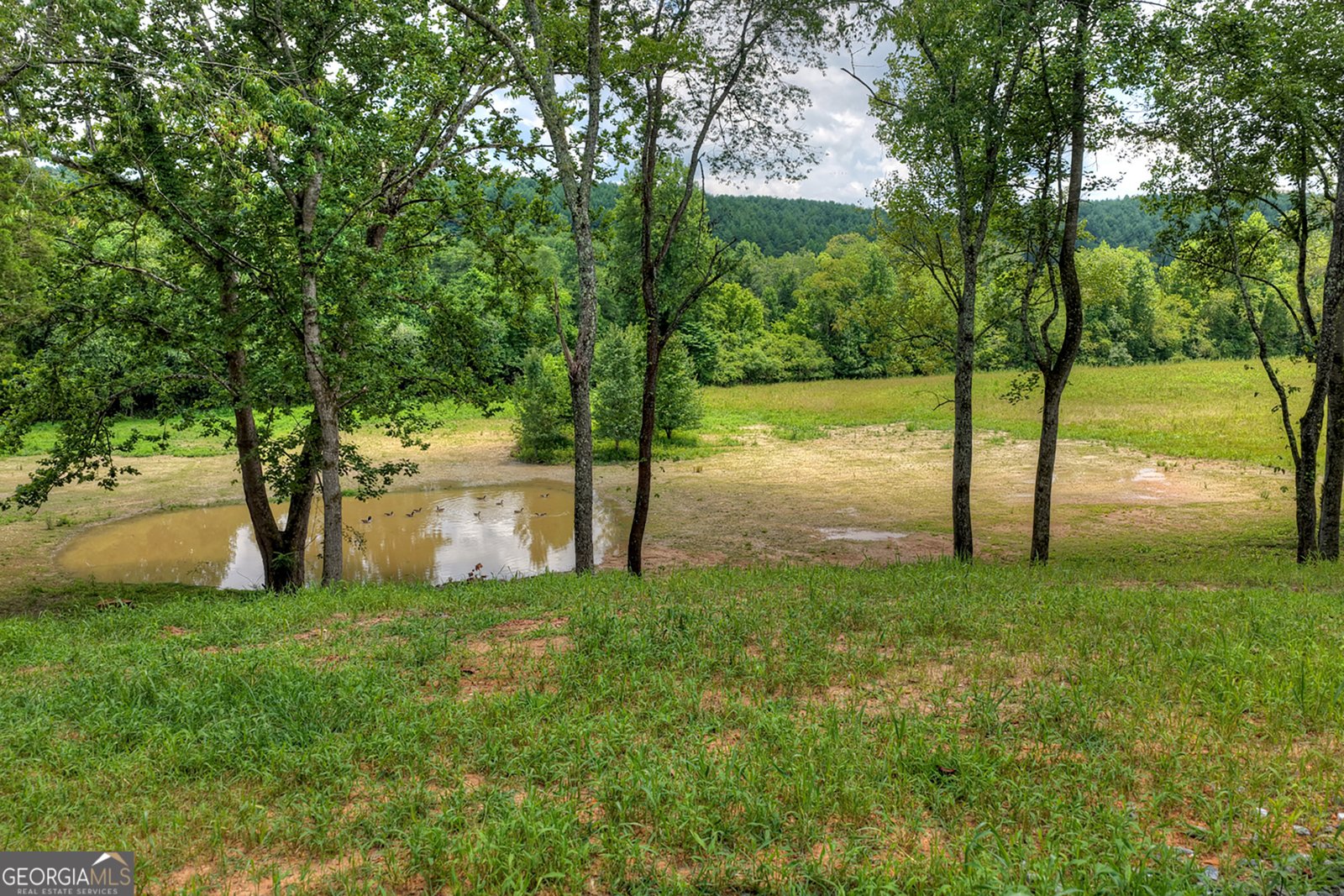 2125 Shady Grove Murphy - Photo 52