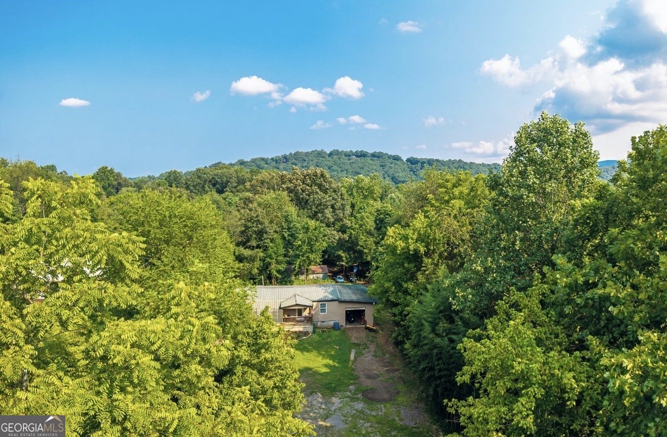 345 State Street Blue Ridge - Photo 12