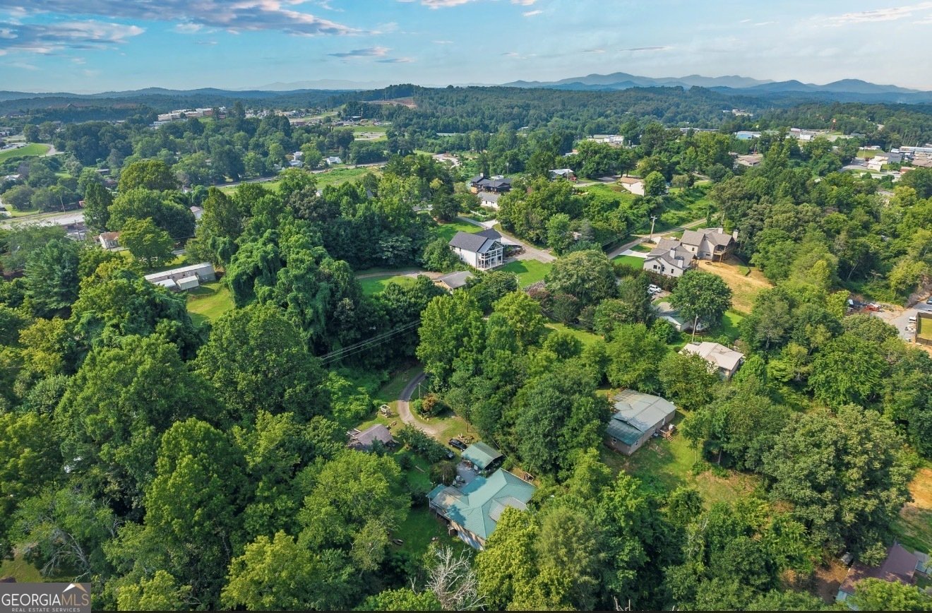 345 State Street Blue Ridge - Photo 13