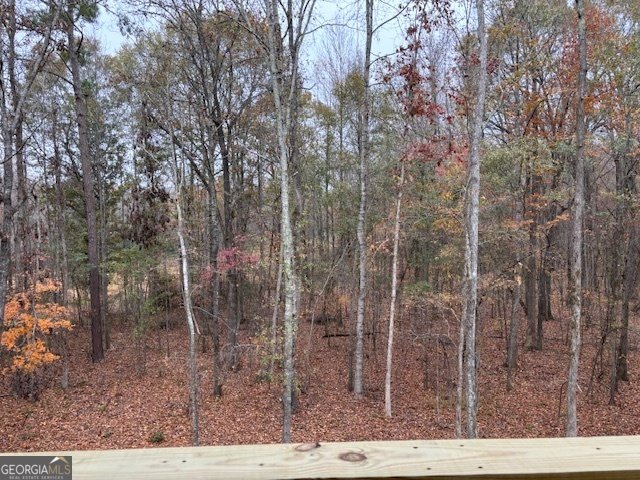 221 Summit View Drive McDonough - Photo 11