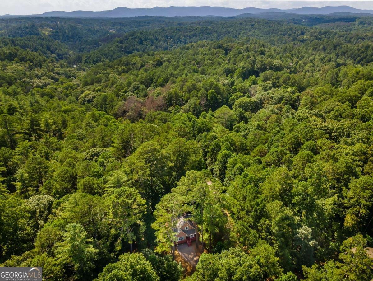 611 Monocle Drive Ellijay - Photo 55