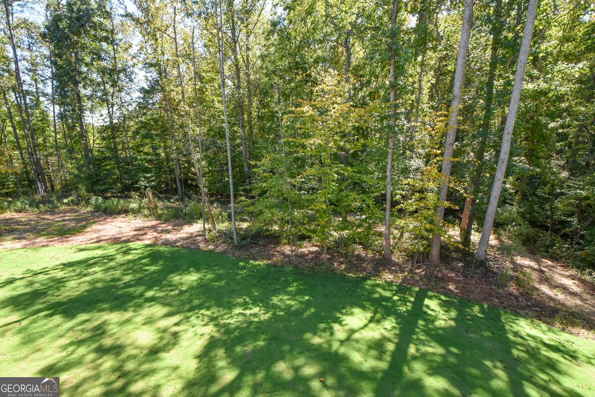 8275 CROOKED CREEK Drive Cumming - Photo 53