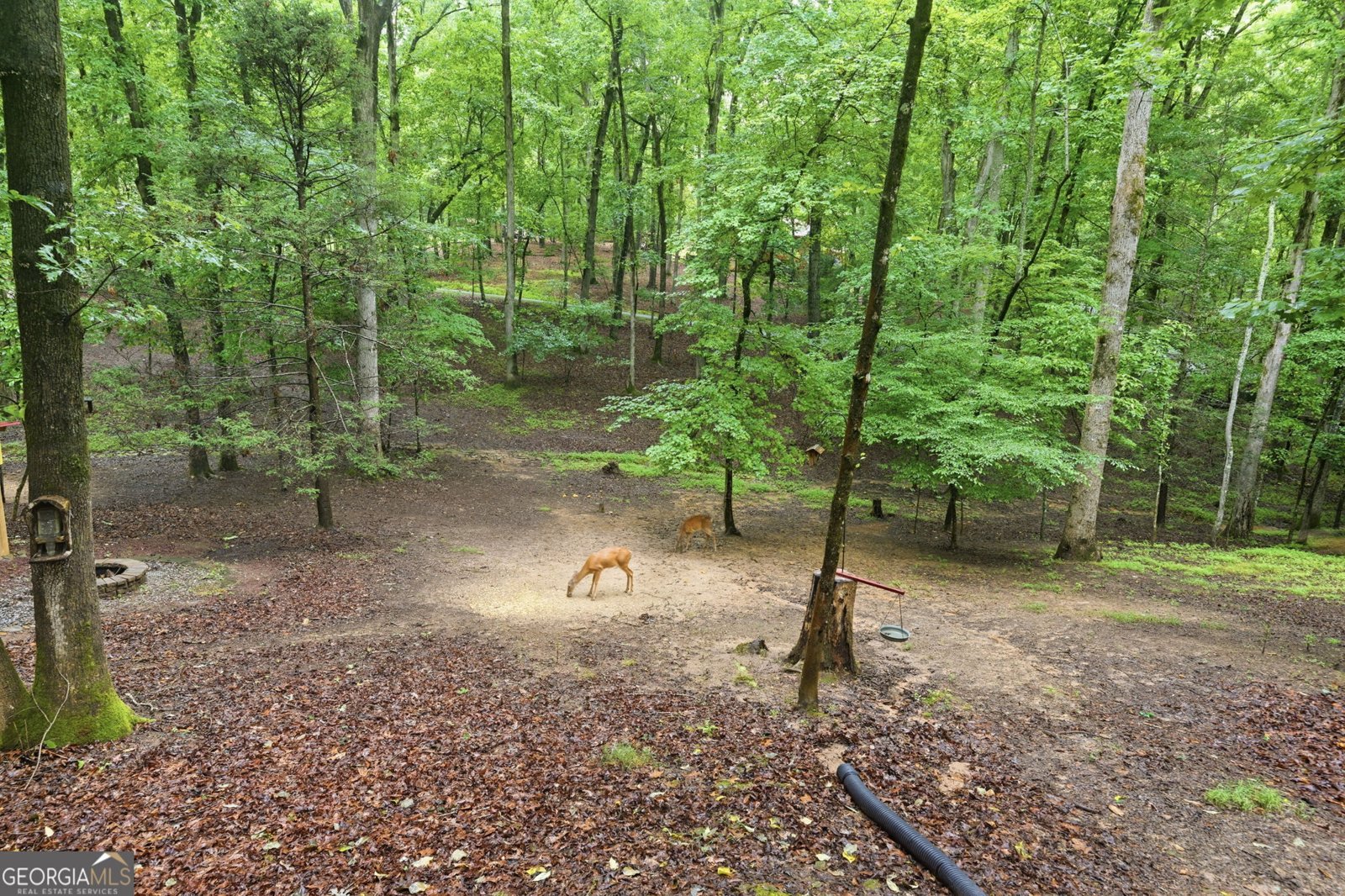 208 Saddle Ridge Drive Blairsville - Photo 56