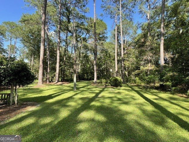 27 Whippoorwill Drive Statesboro - Photo 66