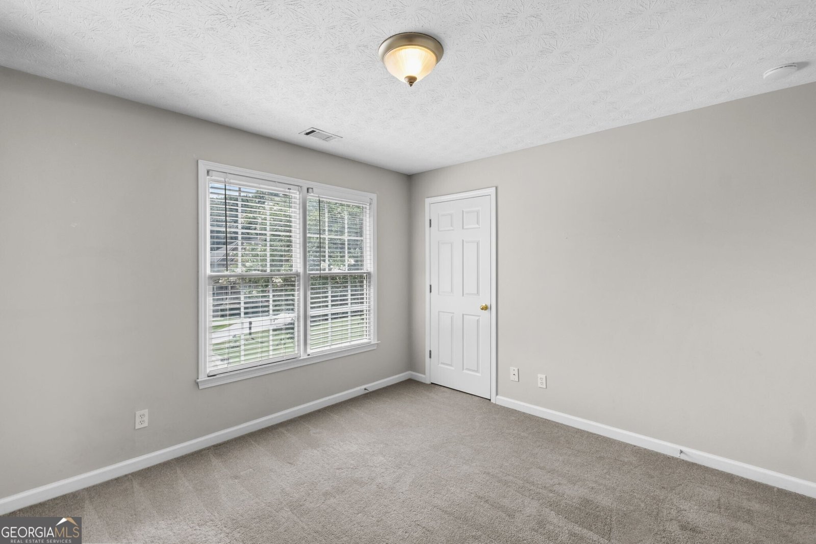 122 Brookhaven Lane Canton - Photo 24