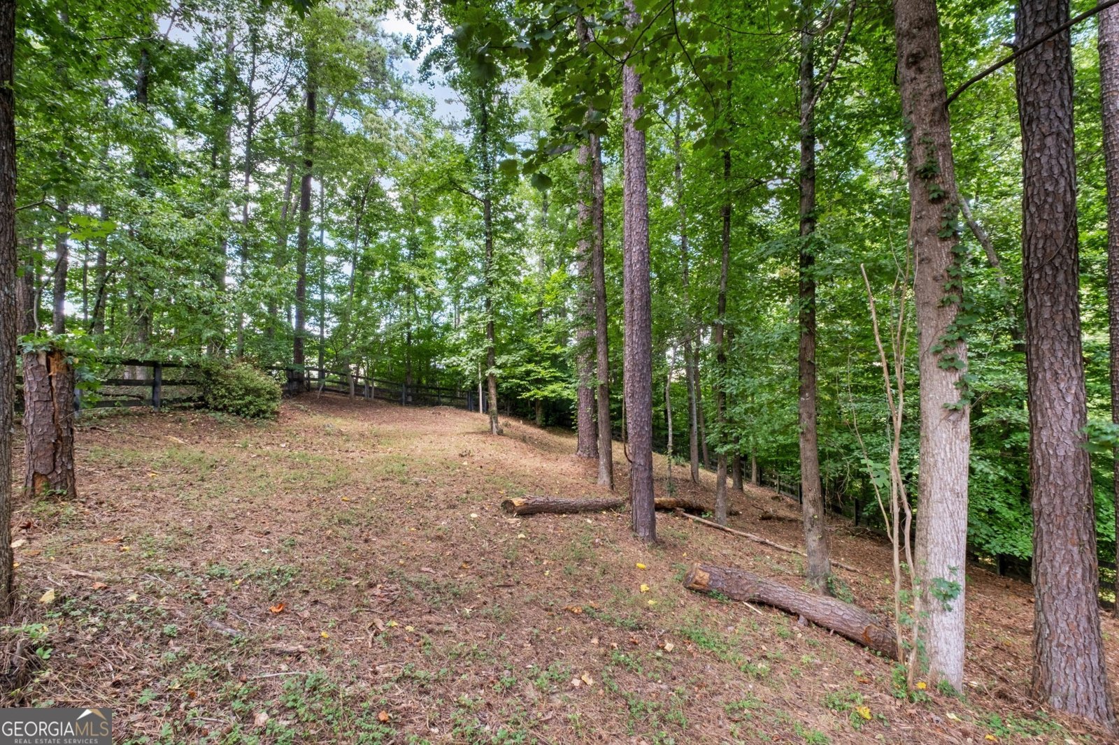 122 Brookhaven Lane Canton - Photo 37