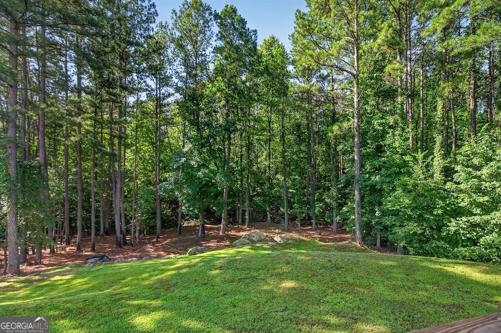 93 Grace Arbor Lane Dallas - Photo 46