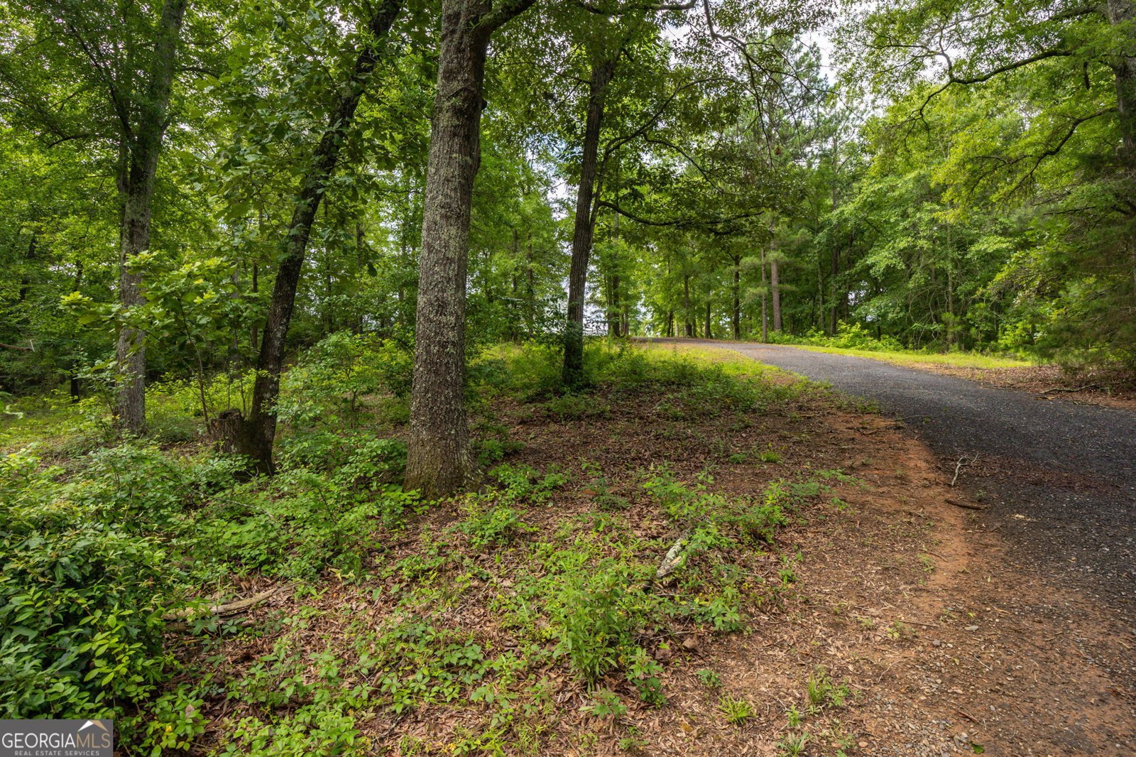 3725 Walden Road Macon - Photo 48
