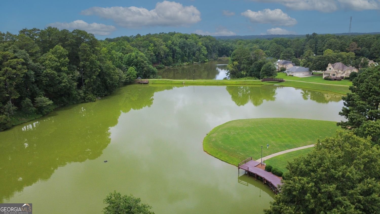 175 Pinevale Court Fayetteville - Photo 31