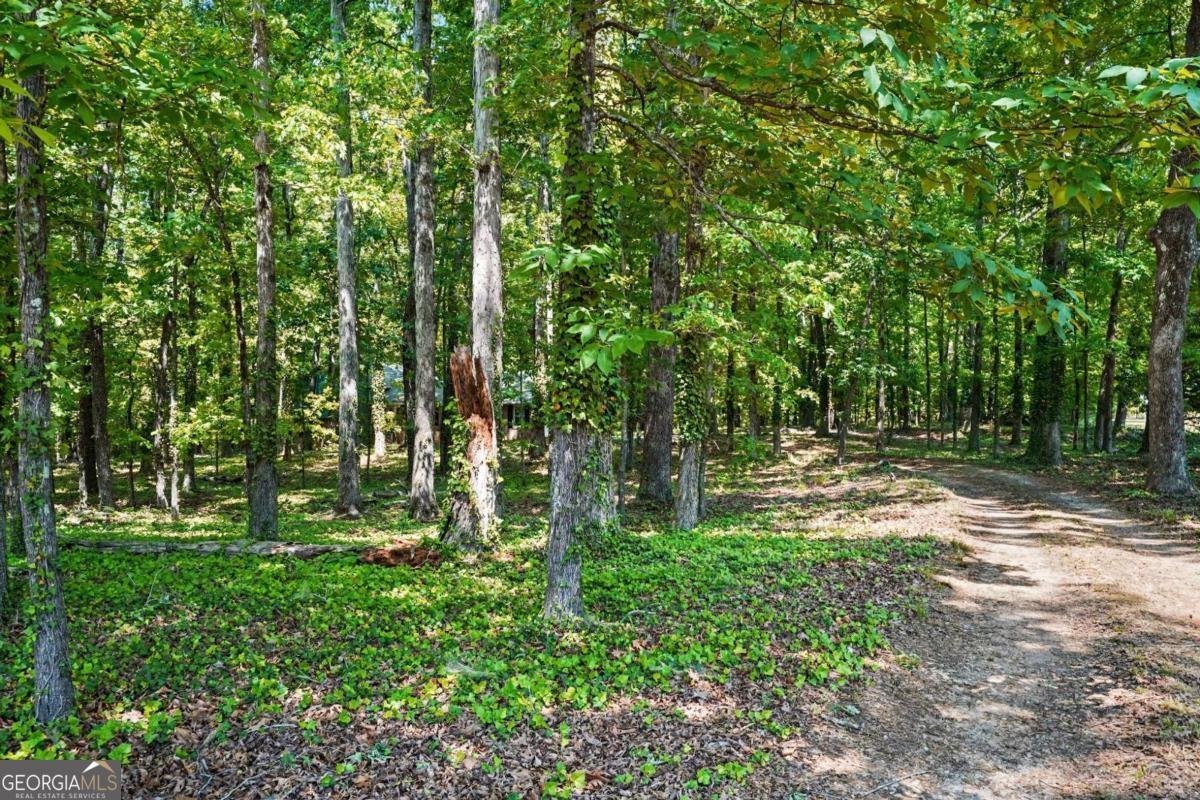 1050 Skyline Drive Covington - Photo 27