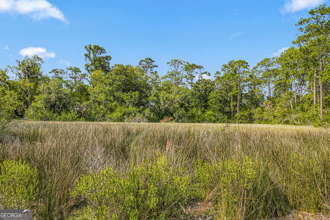 122 Shore Rush Drive St. Simons - Photo 45