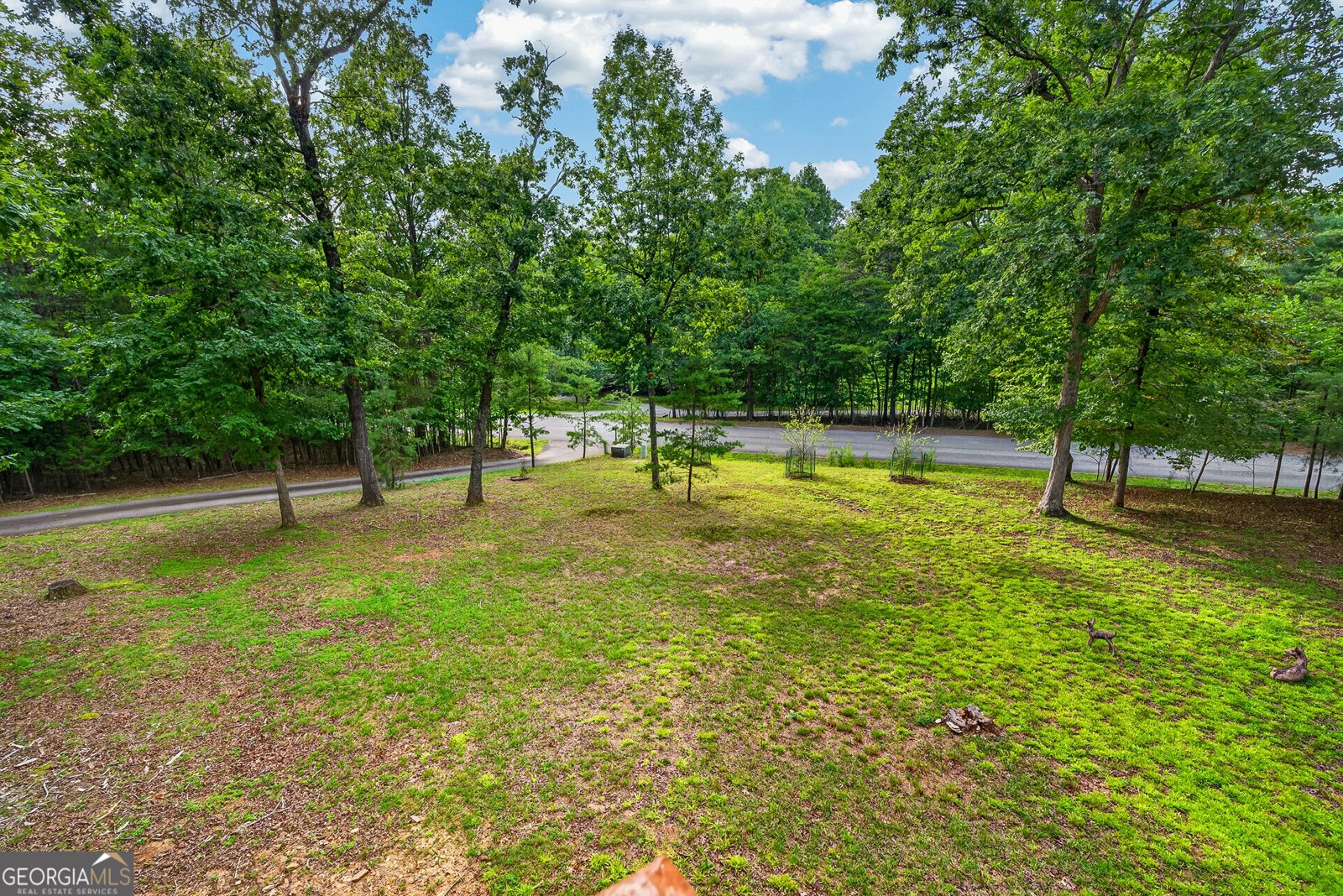 23 Dolores Drive Mineral Bluff - Photo 46