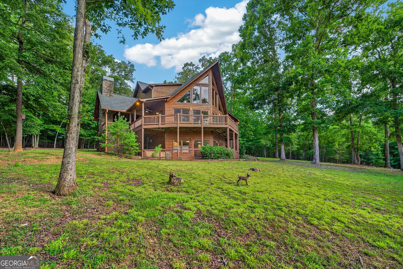 23 Dolores Drive Mineral Bluff - Photo 53