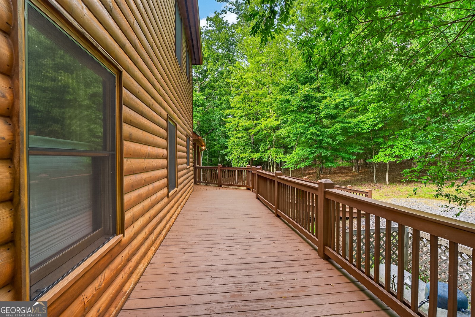 23 Dolores Drive Mineral Bluff - Photo 57