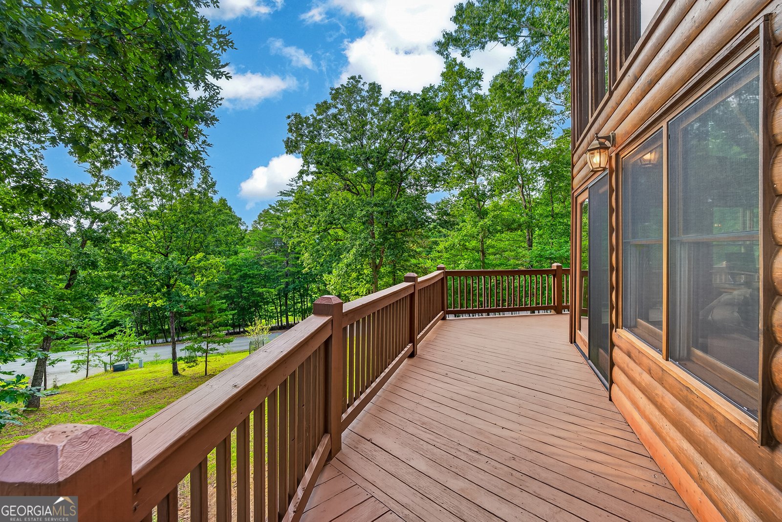 23 Dolores Drive Mineral Bluff - Photo 58