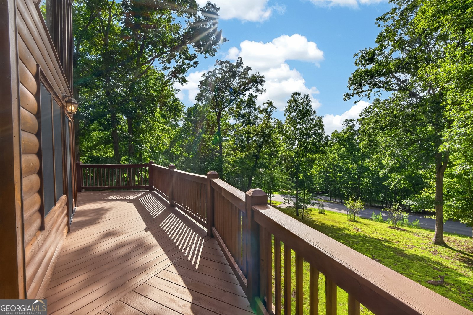 23 Dolores Drive Mineral Bluff - Photo 7