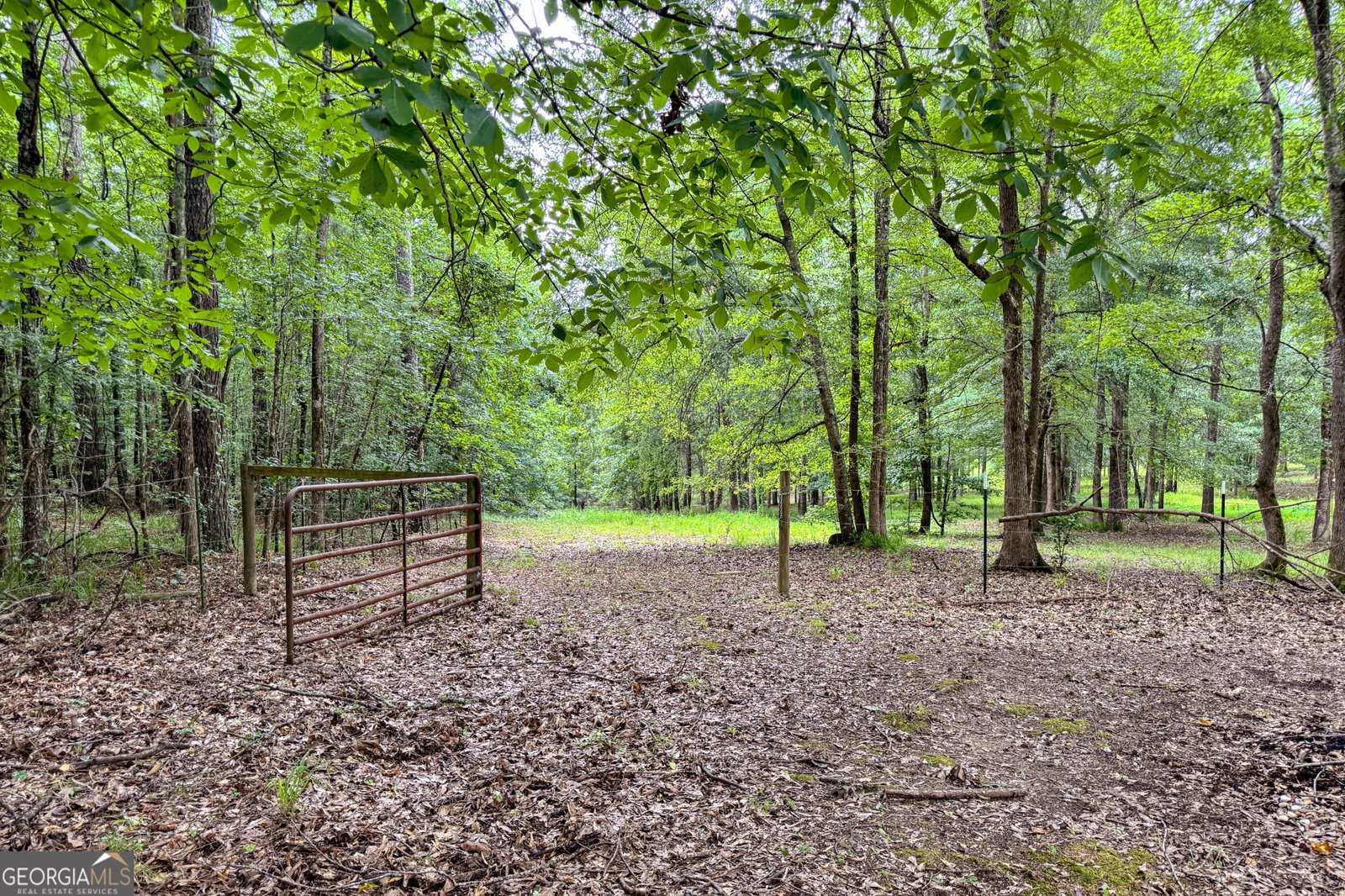 316 Biltmore Road Mansfield - Photo 66