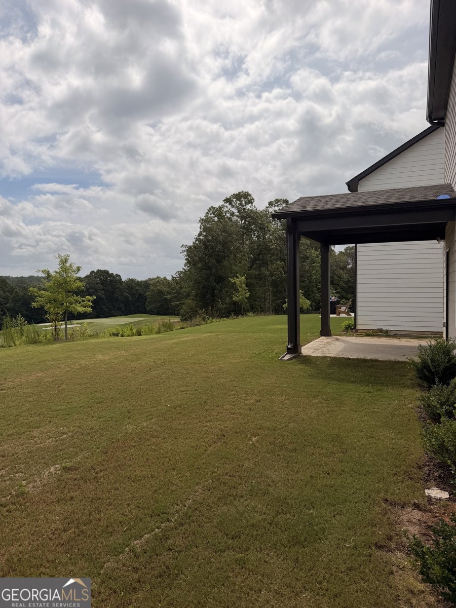 215 Foxhill Drive Dawsonville - Photo 53