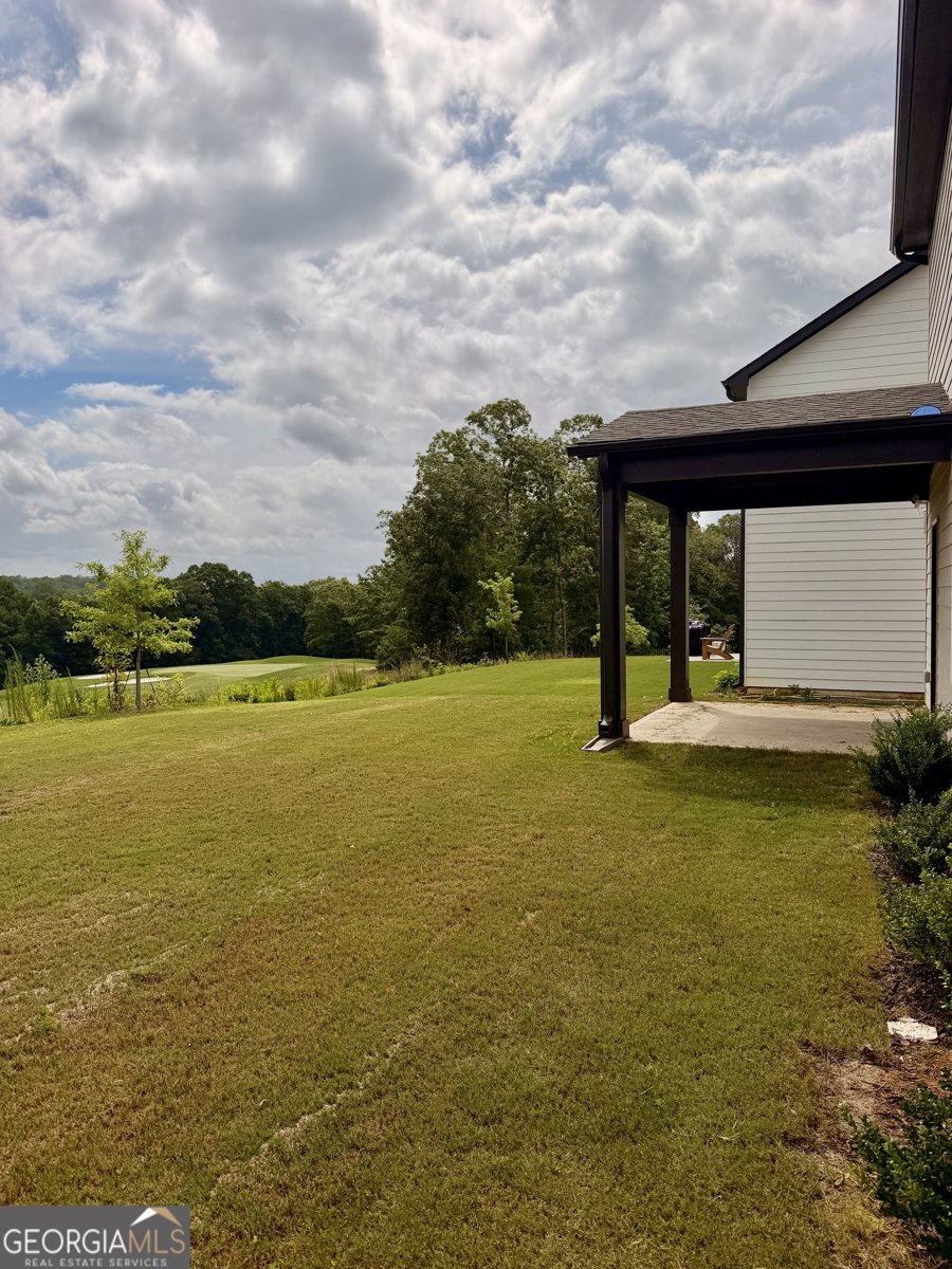 215 Foxhill Drive Dawsonville - Photo 58