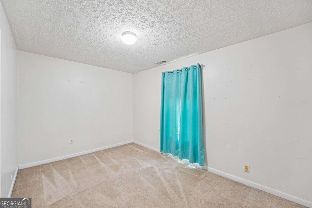 123 Remington Place Drive Dallas - Photo 21