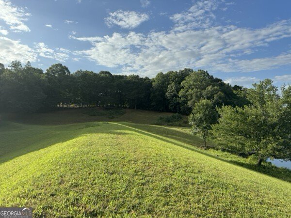1790 Lipscomb Lake Road Pendergrass - Photo 66