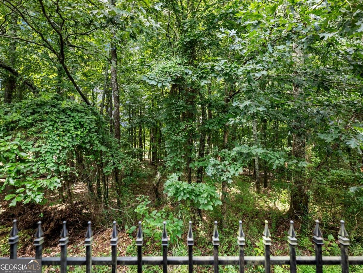 2623 Grapevine Circle Cumming - Photo 43