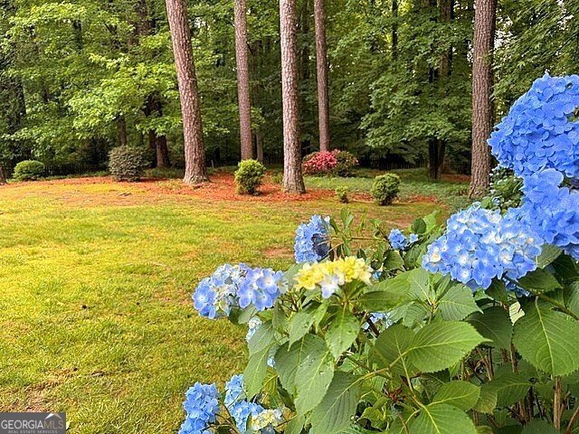 1626 Wildwood Road Marietta - Photo 38