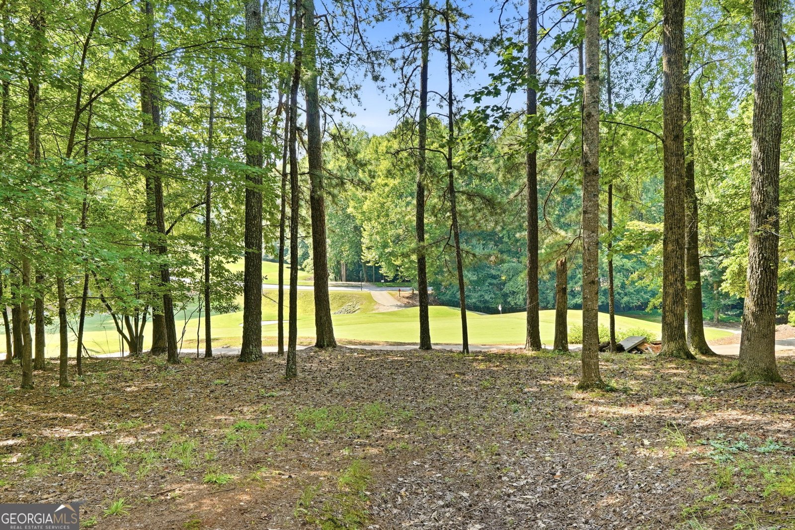 320 Valley Green Court Woodstock - Photo 38