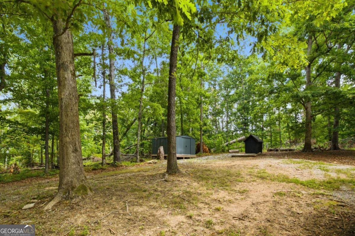 433 Elliots Lane Dahlonega - Photo 36