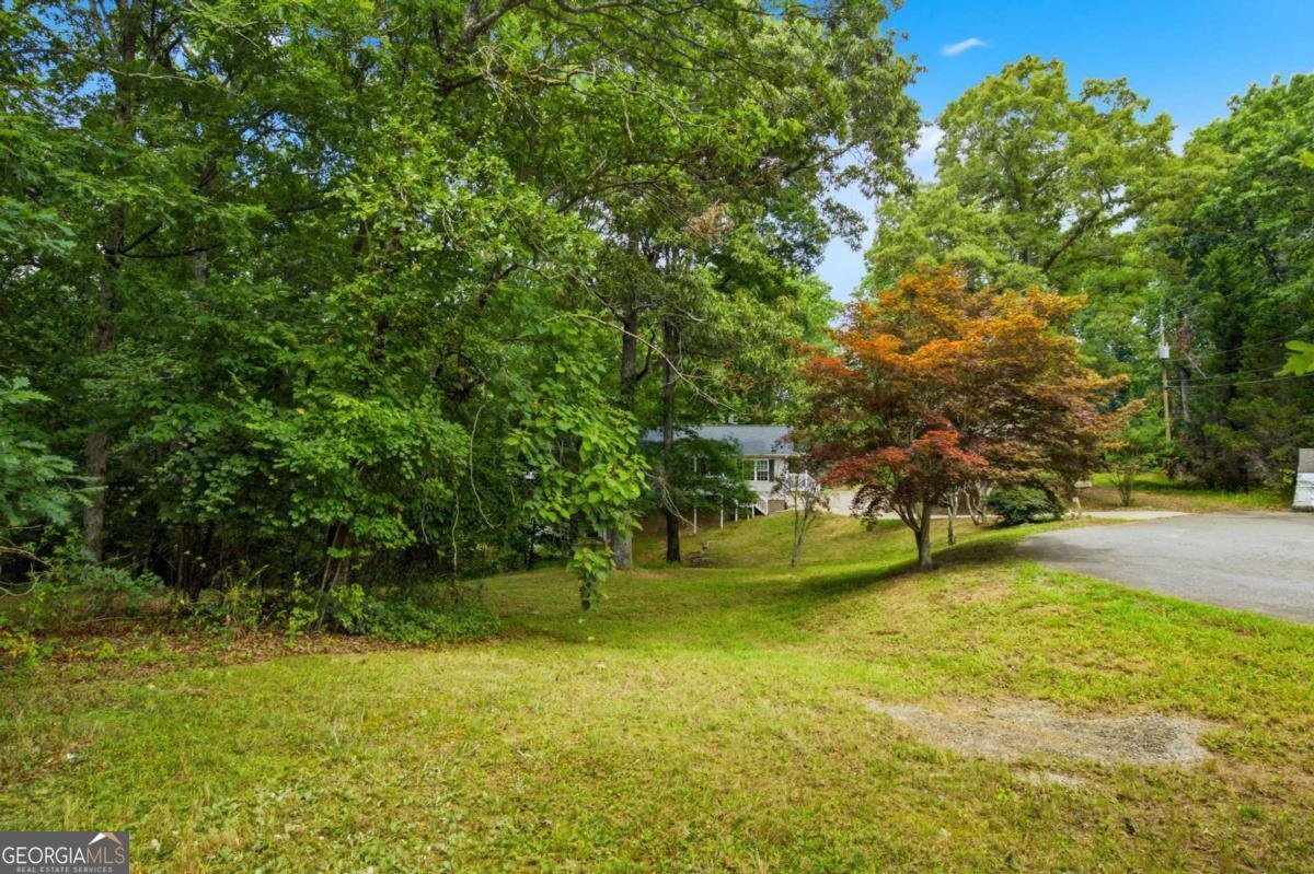 433 Elliots Lane Dahlonega - Photo 38