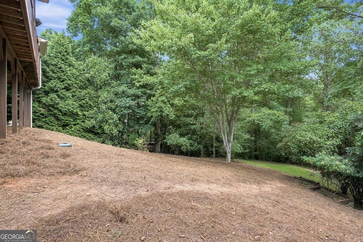 5660 Chestatee Landing Drive Gainesville - Photo 43