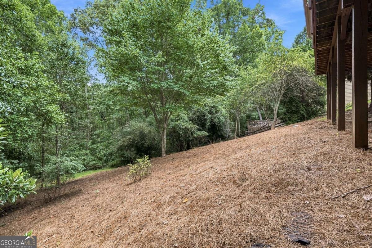 5660 Chestatee Landing Drive Gainesville - Photo 44