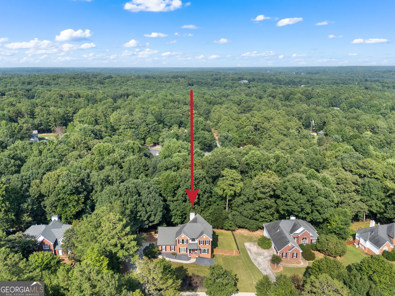 1620 Woodridge Bend McDonough - Photo 74