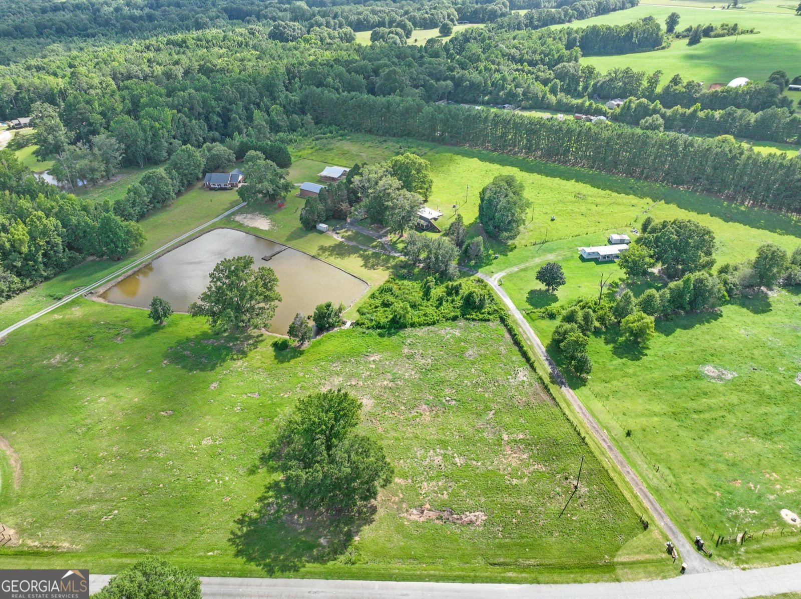 818 McCrary Road Molena - Photo 43