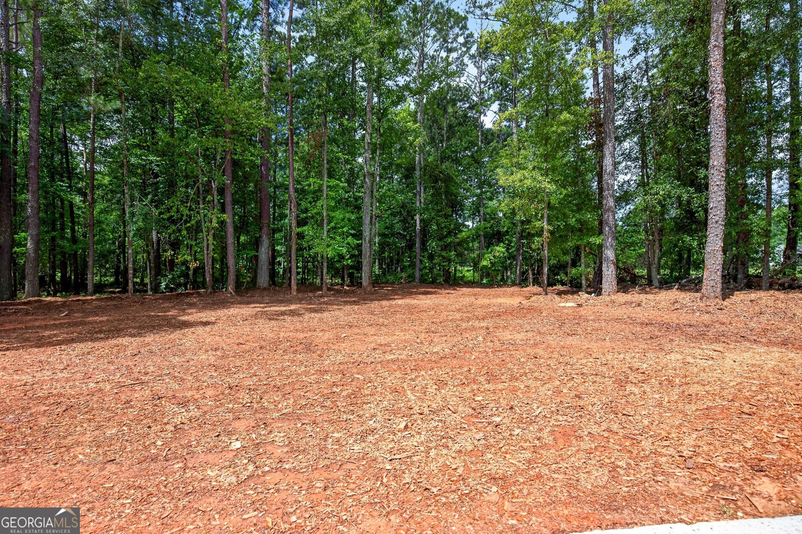 174 Rockhouse Road Senoia - Photo 41