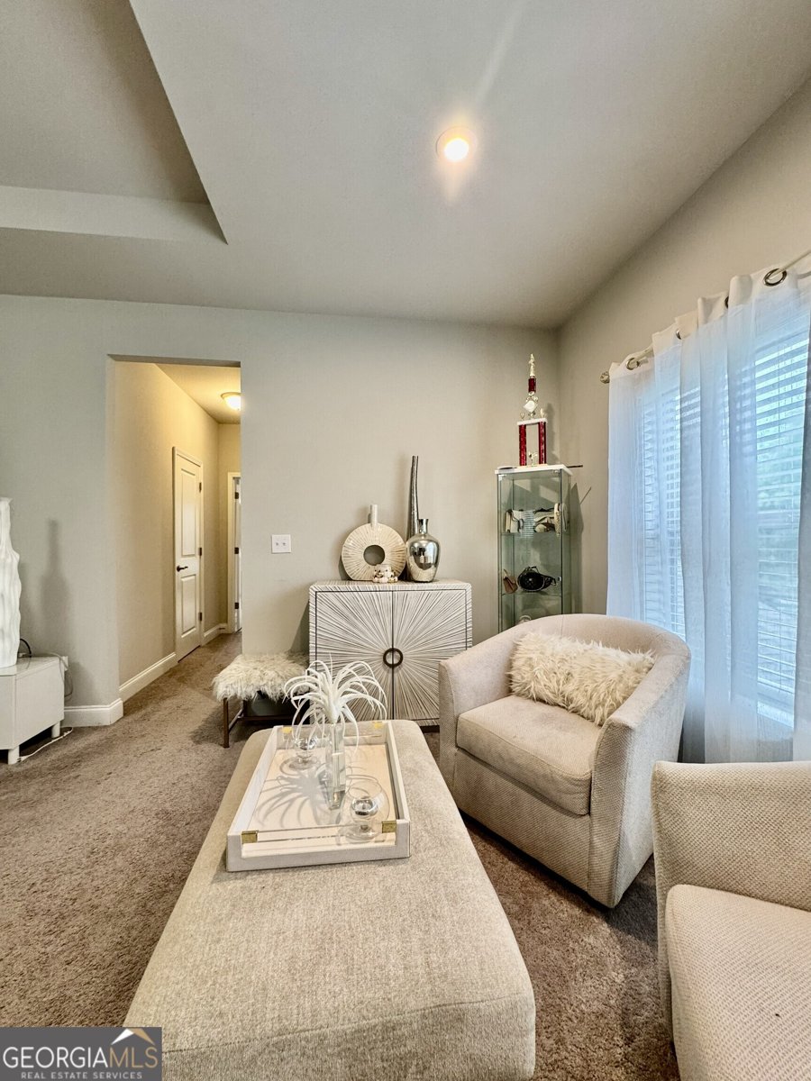 4686 Leader Lane Duluth - Photo 17