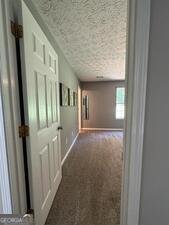 337 Cowan Road Covington - Photo 28