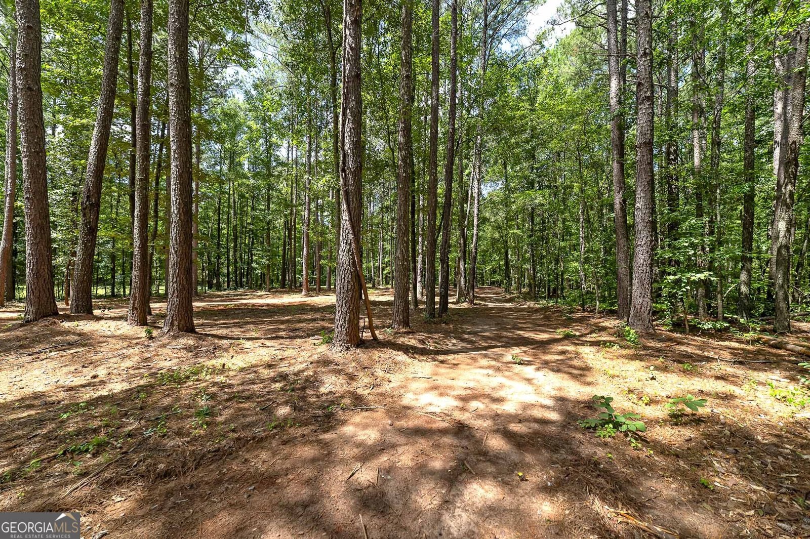 548 Barnesville Road Griffin - Photo 34
