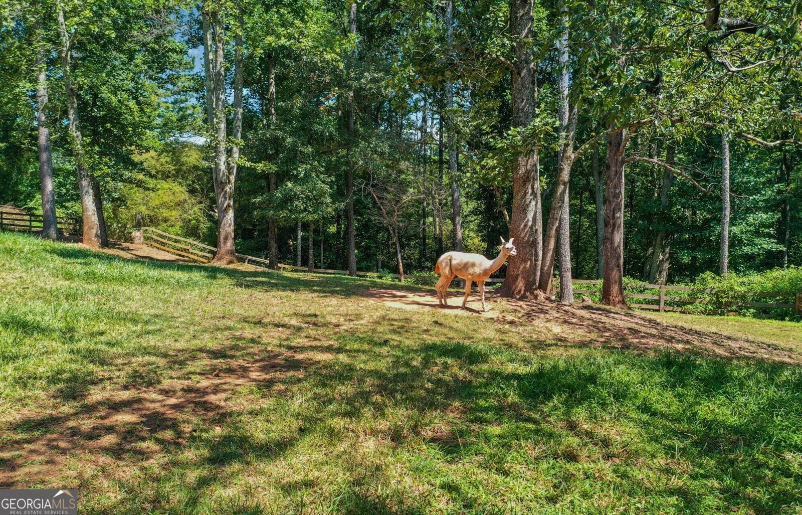 3204 Reavis Mountain Road Ball Ground - Photo 56
