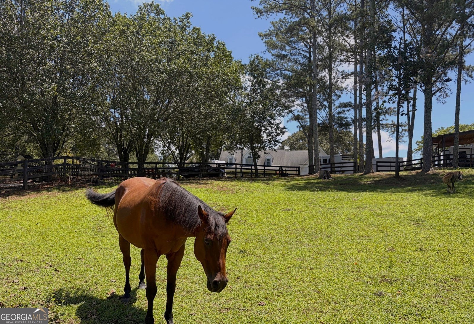 3204 Reavis Mountain Road Ball Ground - Photo 67